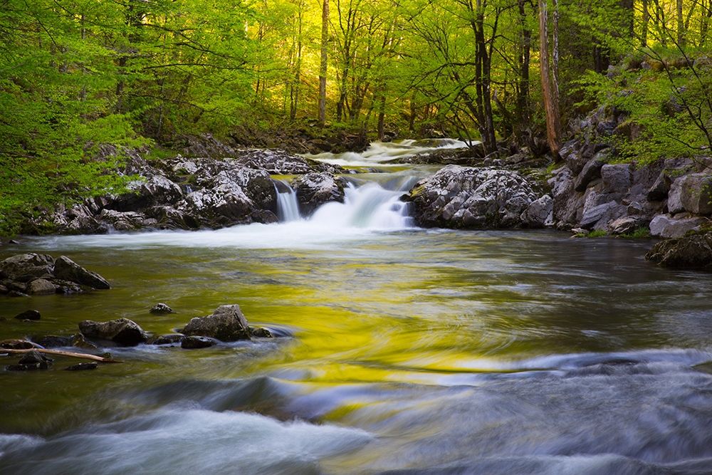 Tennessee-Evening reflections in the Little River at Tremont